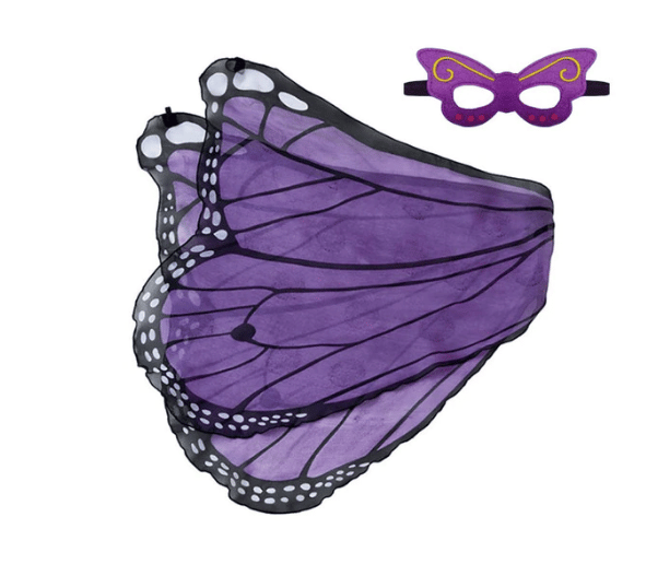 Costume ailes papillon pour enfant