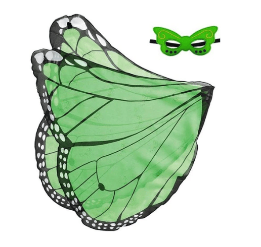Costume ailes papillon pour enfant